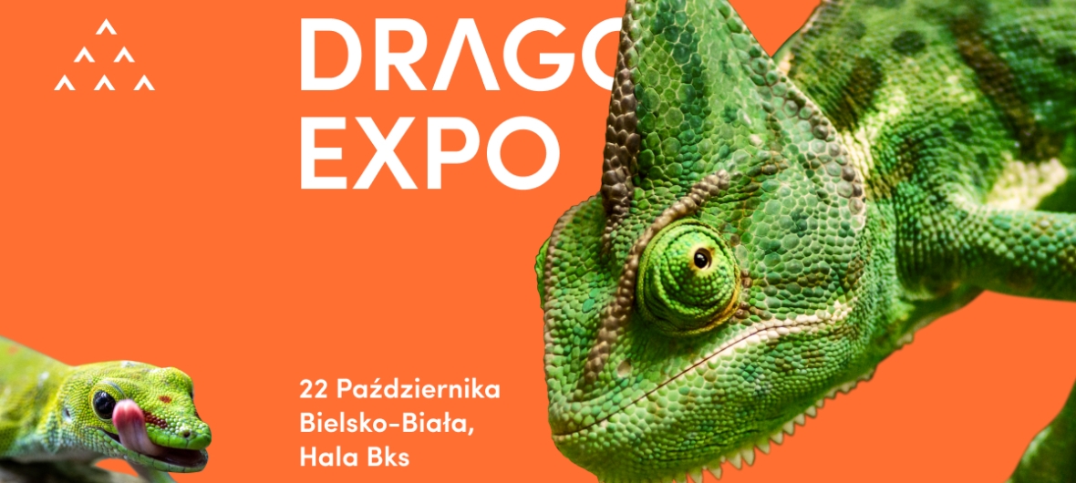 event-Виставка екзотичних рослин та тераріумів в Бяльско-Бяла-2023-10-22 10:00