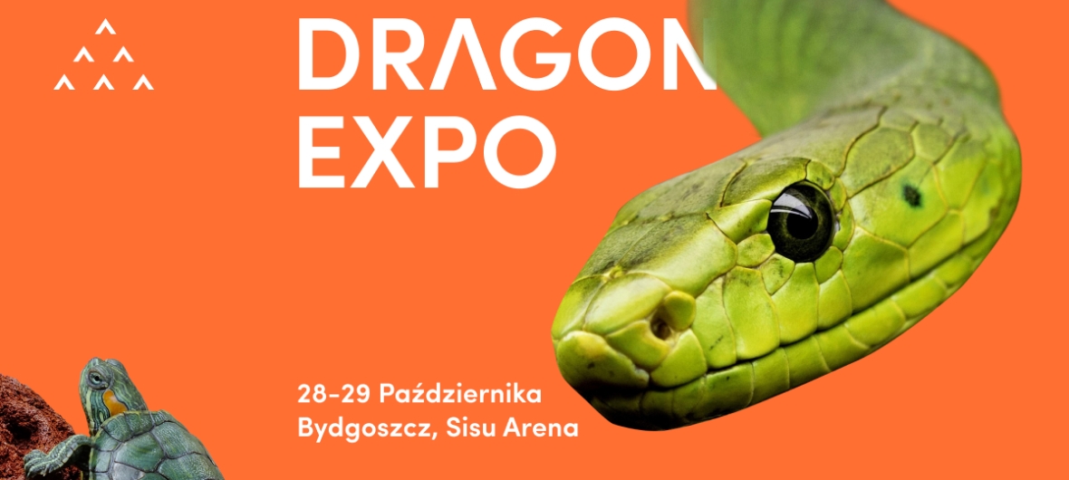 event-Виставка екзотичних рослин та тераріумів в Бидгощі-2023-10-28 10:00 – 2023-10-29 10:00